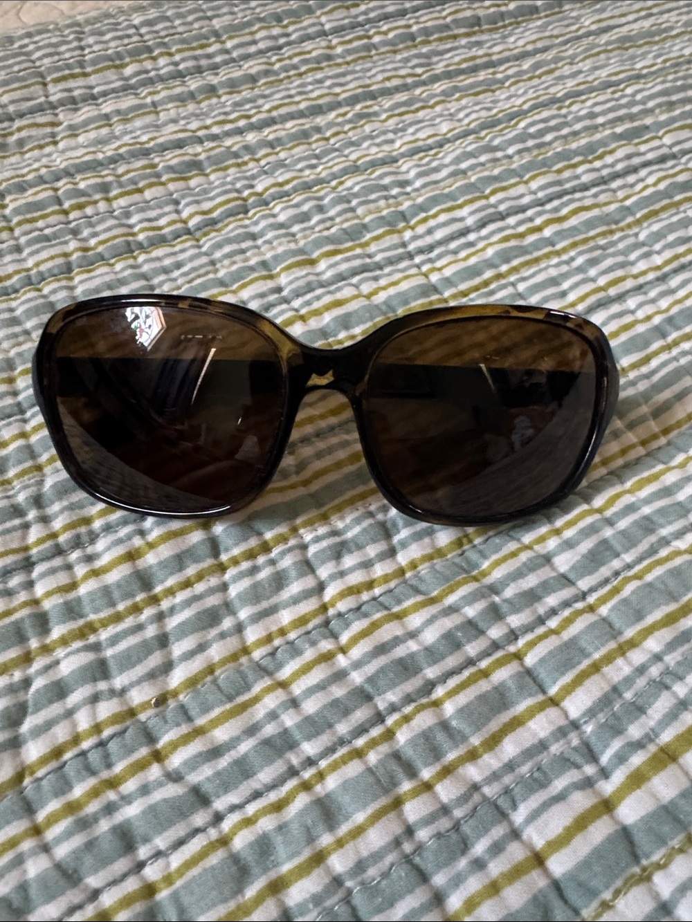 SUNCLOUD Women's Sunglasses in Dark Brown